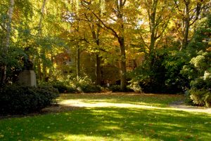 Autumn View of Grieg Garden